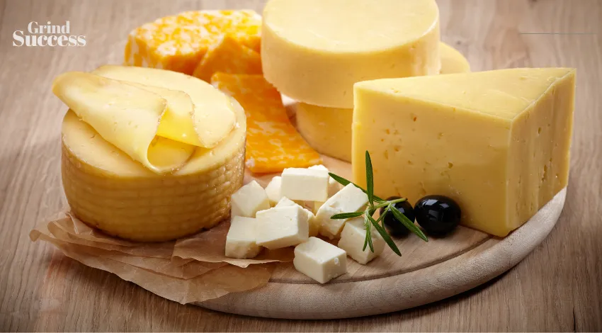 Cheese Company Names: 900+ Best Cheese Company Names