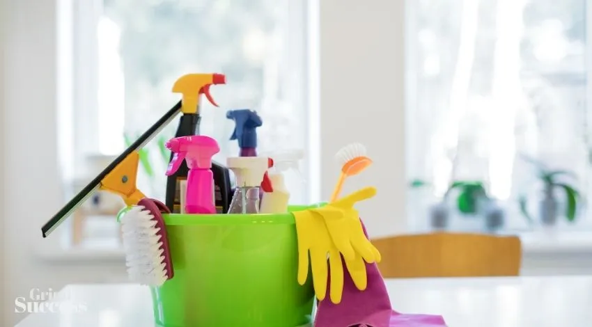 900+ Best Cleaning Company Names Ideas Ever