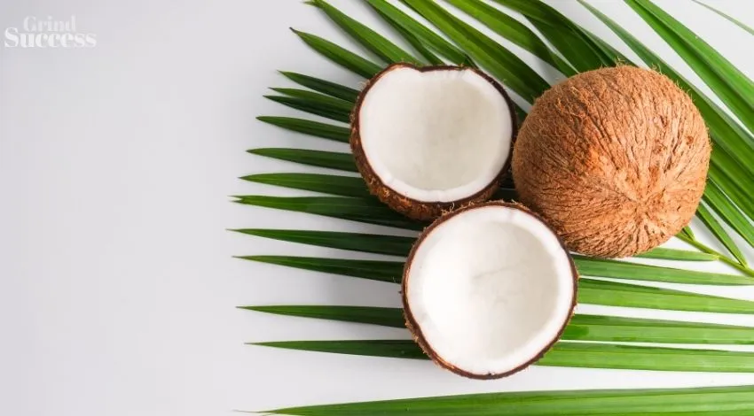 900+ Best Coconut Business Names & Ideas