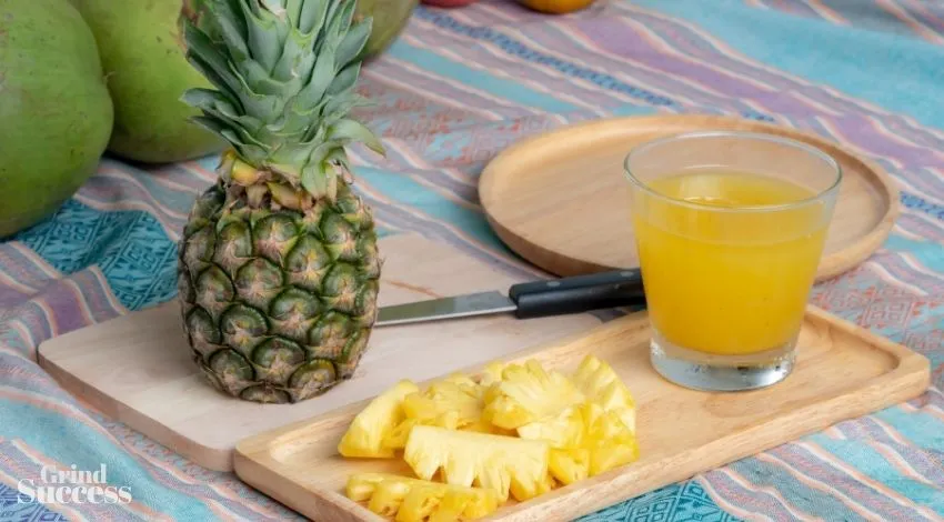 Delightful Pineapple Business Names