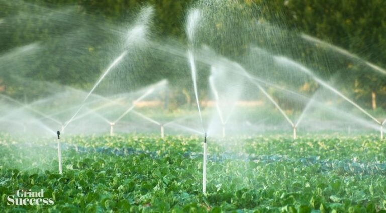 800+ Best Irrigation Company Names Ideas Ever