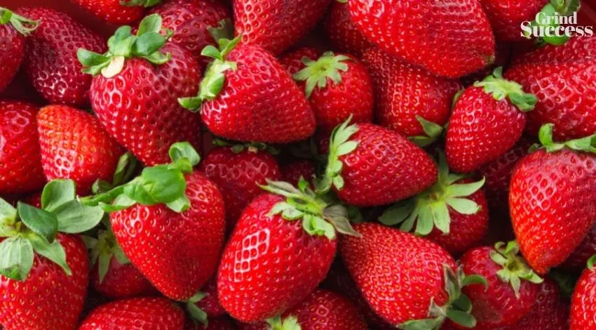 1,100+ Catchy Strawberry Business Names & Ideas