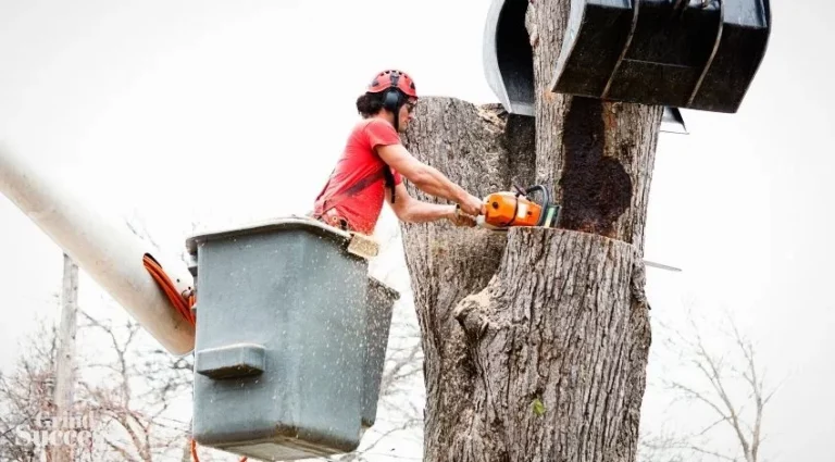 620+ Best Tree Service Business Names And Ideas Ever