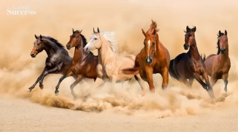 Horse Business Names: 1,100+ Catchy Name For Your Brand