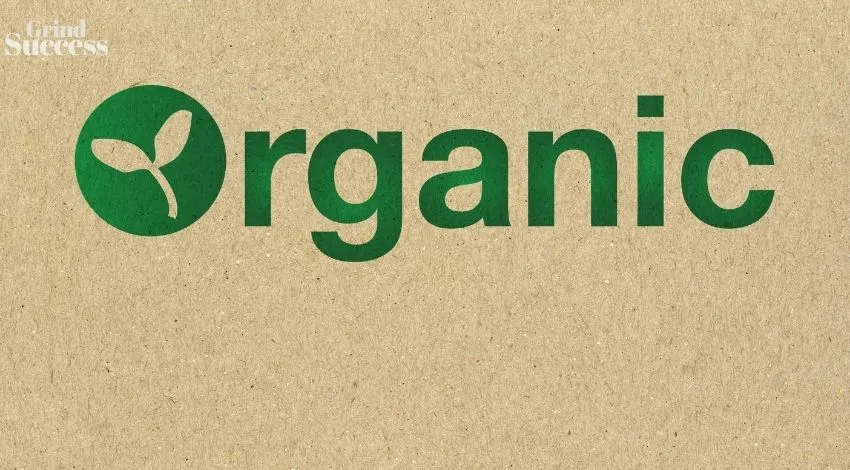 500 Organic Business Name Ideas + Generator [2024]