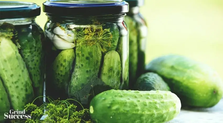 Pickle Company Names: 853+ Catchy Name For Your Business