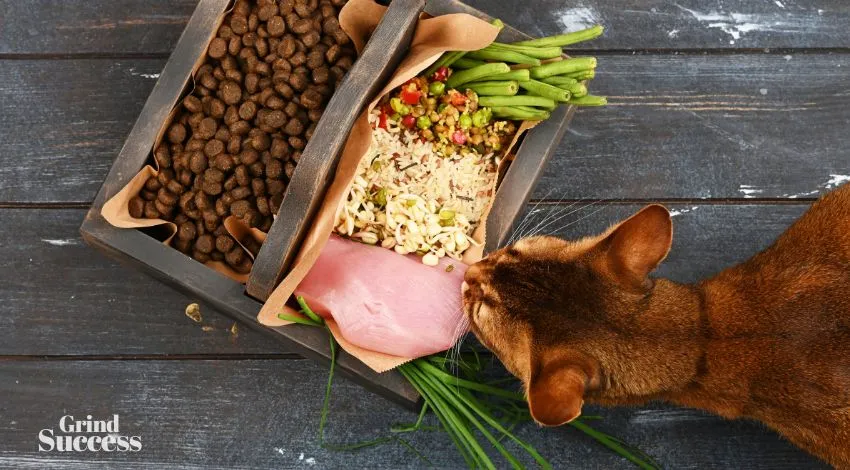Pet Food Slogan Generator