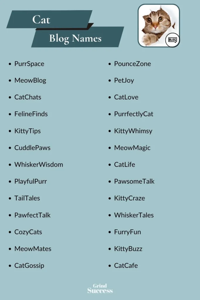 Cat Blog Name Ideas List