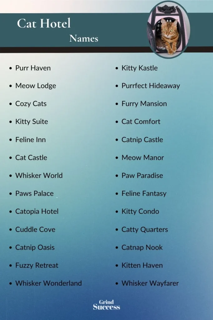 Cat Hotel name list