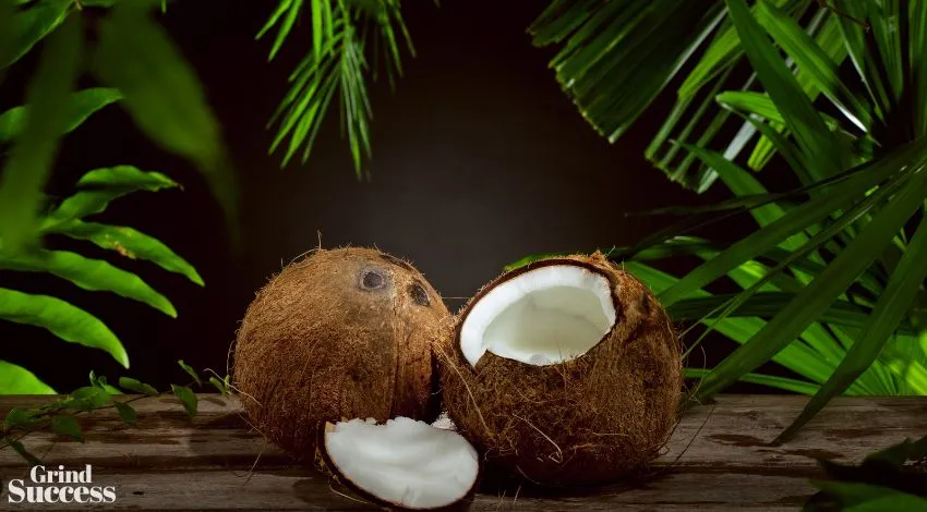 Clever coconut company names ideas