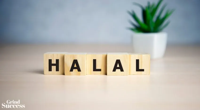 Clever halal company names ideas