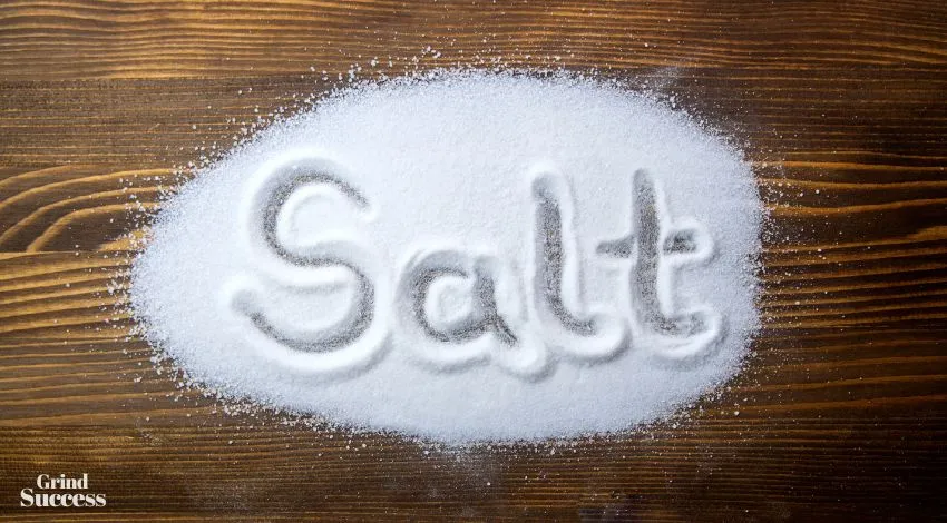 Clever Salt Company names