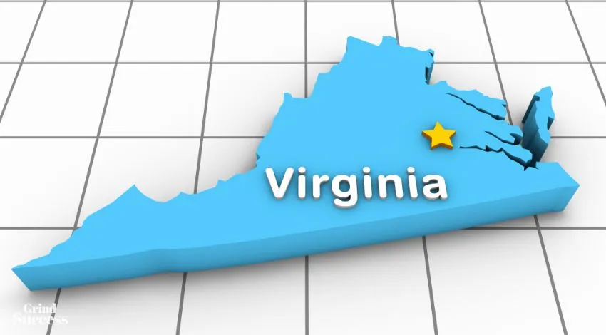 Clever Virginia Company names