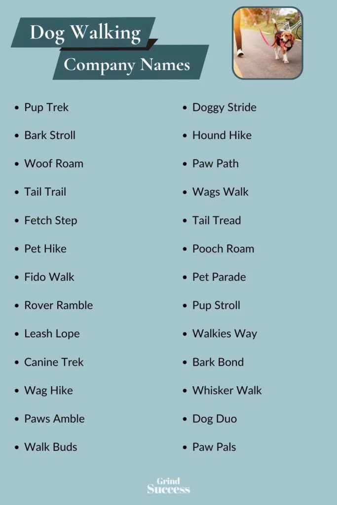 Dog Walking Company Name Ideas List
