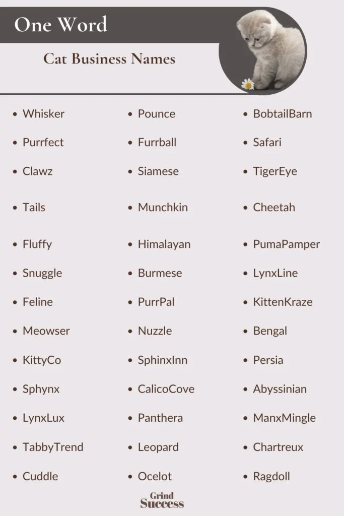One-Word Cat Business Names Ideas