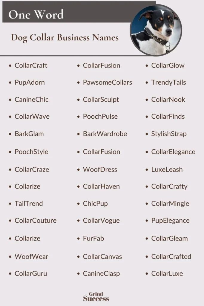 One-Word Dog Collar Business Names Ideas