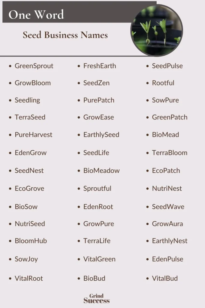 One-Word Seed Business Names Ideas