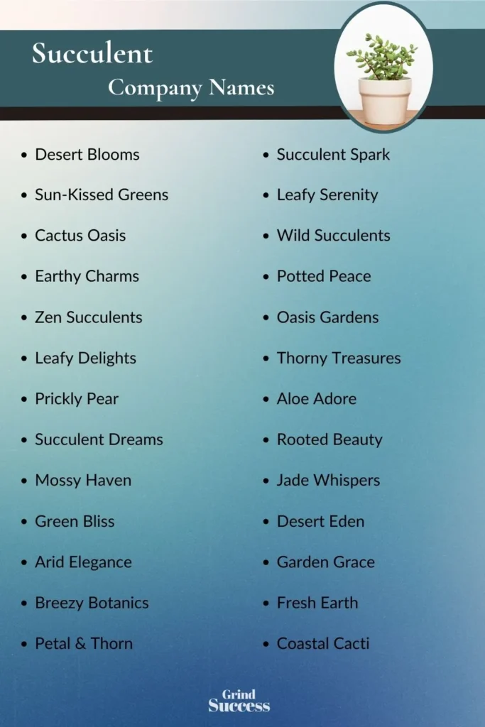 Succulent Company Name Ideas List