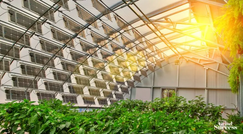 Unique greenhouse company names ideas